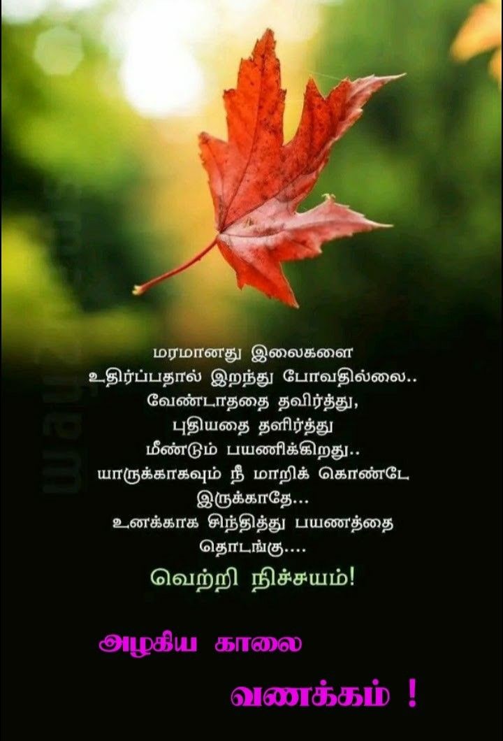 நல்ல காலை!