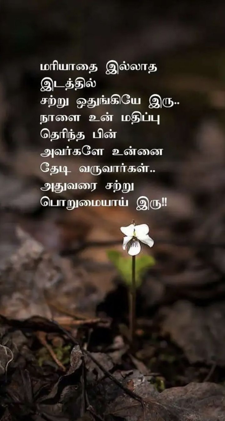 பொறுமையாக இரு