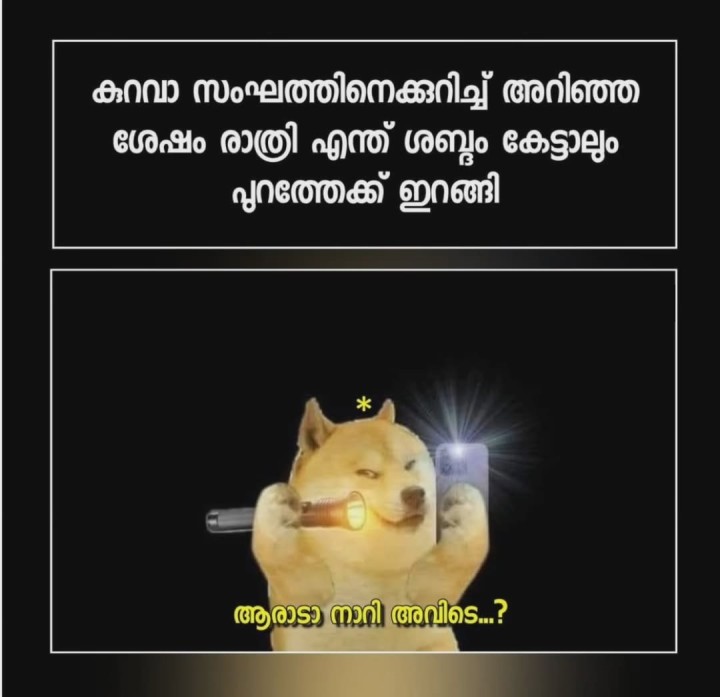 കത്തിയും കൊണ്ട് നടക്കുന്നവനെ ടോർച്ച് കത്തിച്ച് പേടിപ്പിക്കാൻ നോക്കുന്നു