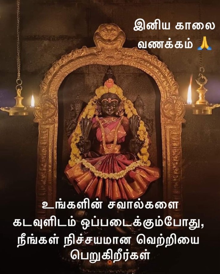 மலரும் காலை மகிழ்ச்சியாக இருக்கட்டும் இனிய காலை வணக்கம்