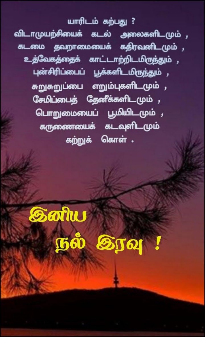 இனிய இரவு!