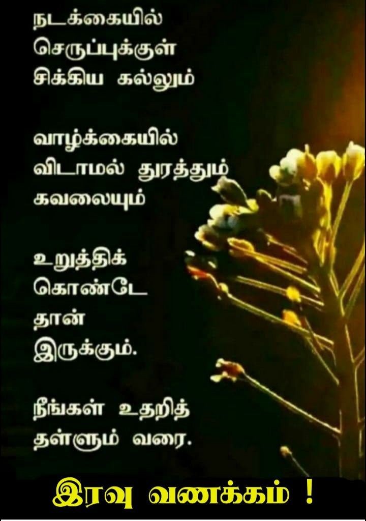 இனிய இரவு, இனிய கனவுகள்!