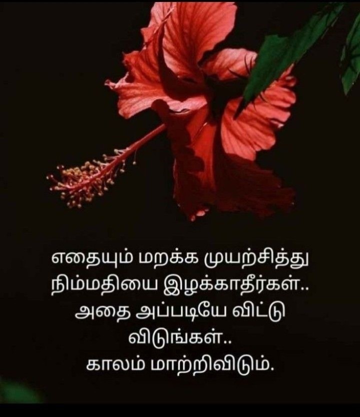 காலம் அனைத்தையும் மற்றும்