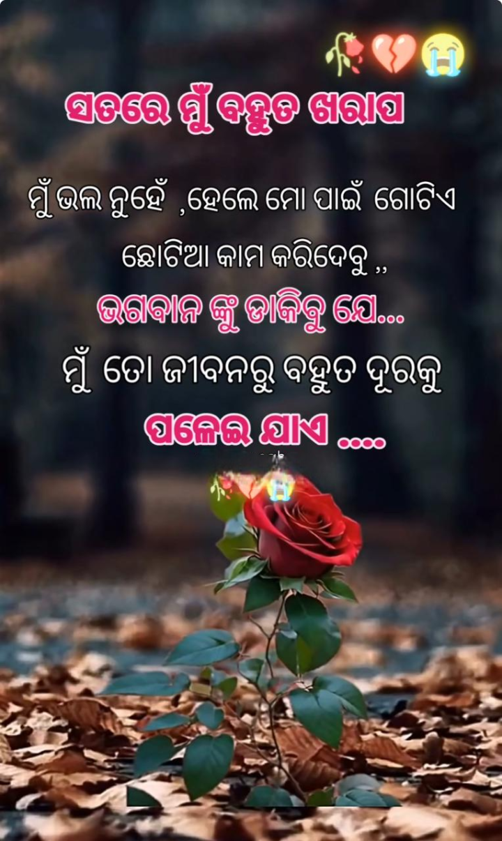 ସତରେ ମୁଁ ବହୁତ ଖରାପ