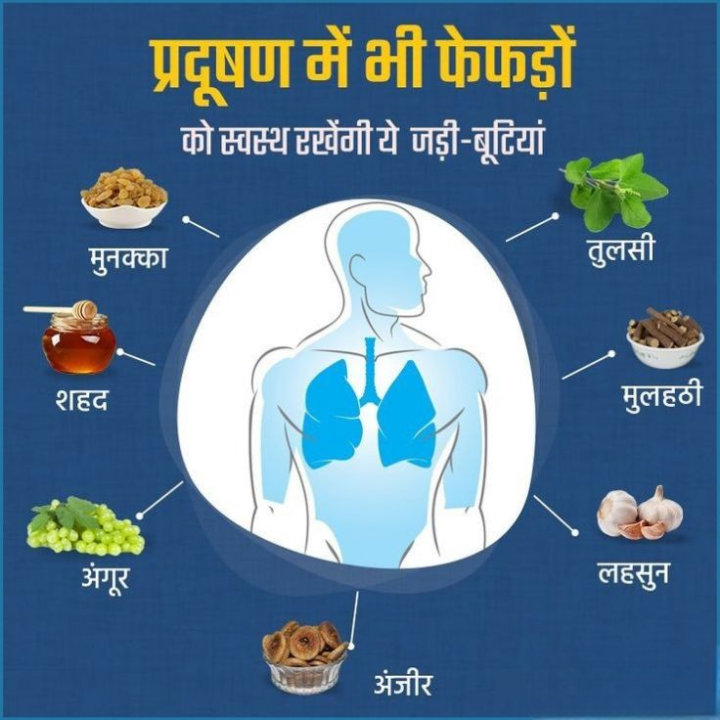 फेफड़े स्वस्थ रखेगी ये जड़ी बूटियां