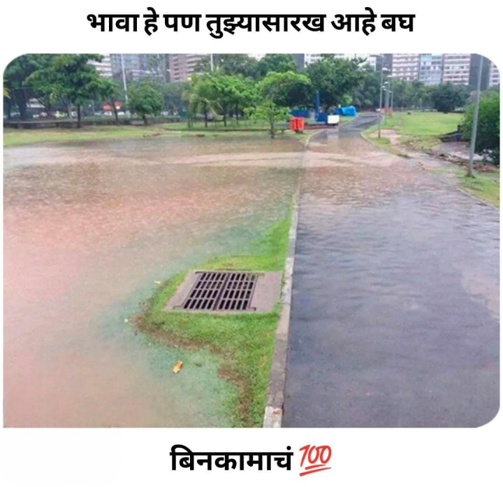 बिनकामाच