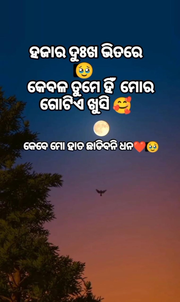 ତୁମେ ମୋର ଗୋଟେ ଖୁସି