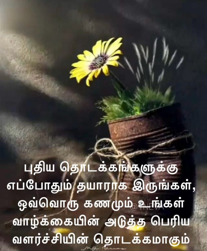 வளர்ச்சியின் தொடக்கம்