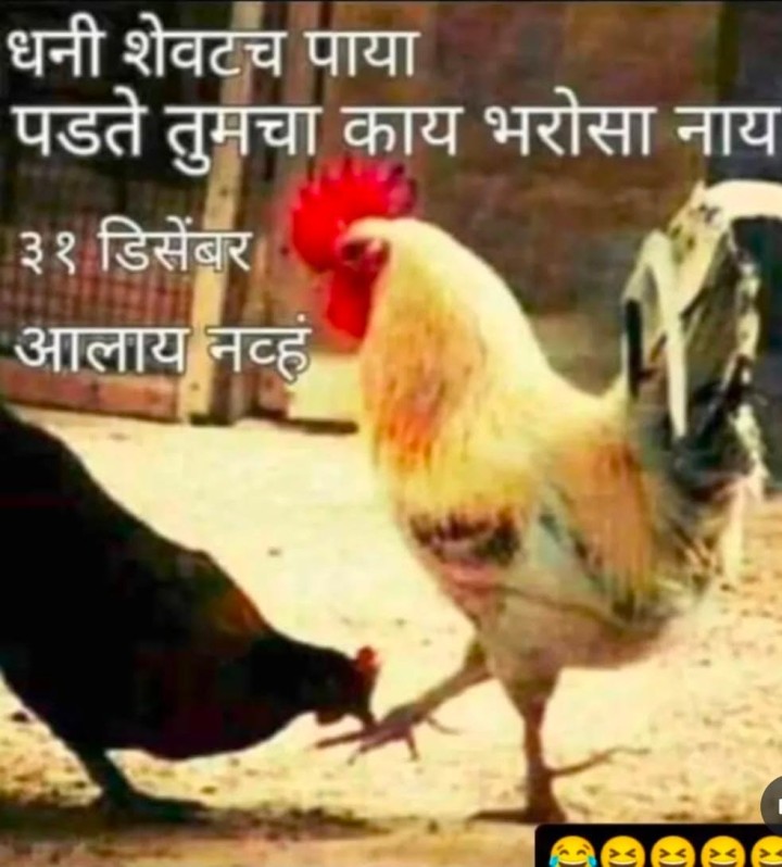 31 डिसेंबर ची तयारी