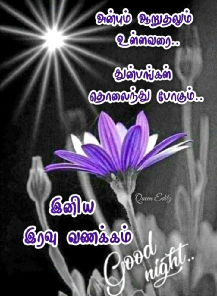 இனிய இரவு!