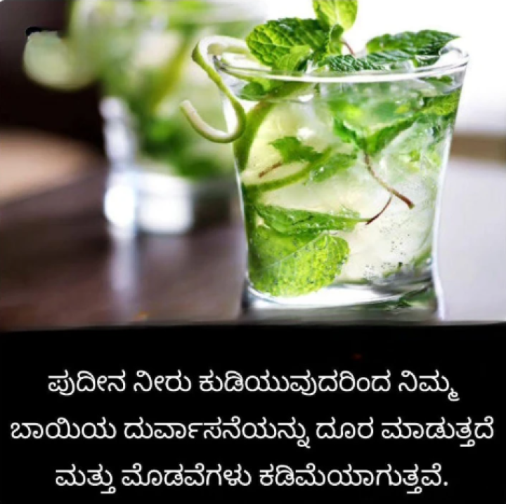 ಪುದೀನ ನೀರು ಕುಡಿಯಿರಿ