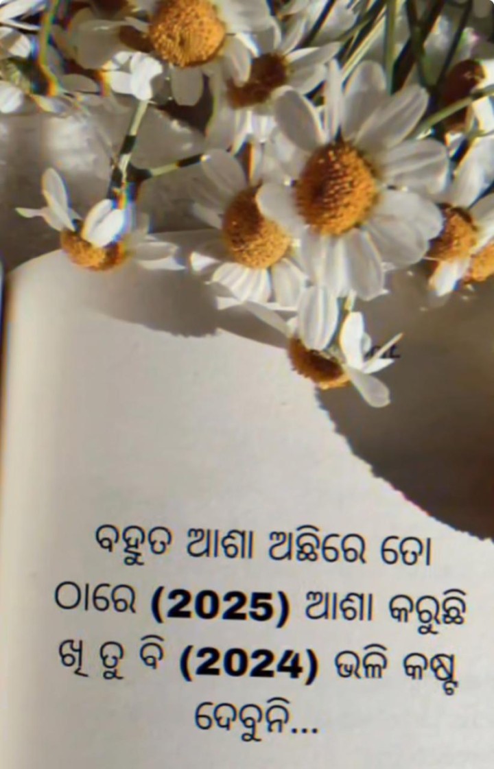 ତୁ କଷ୍ଟ ଦେବୁନି