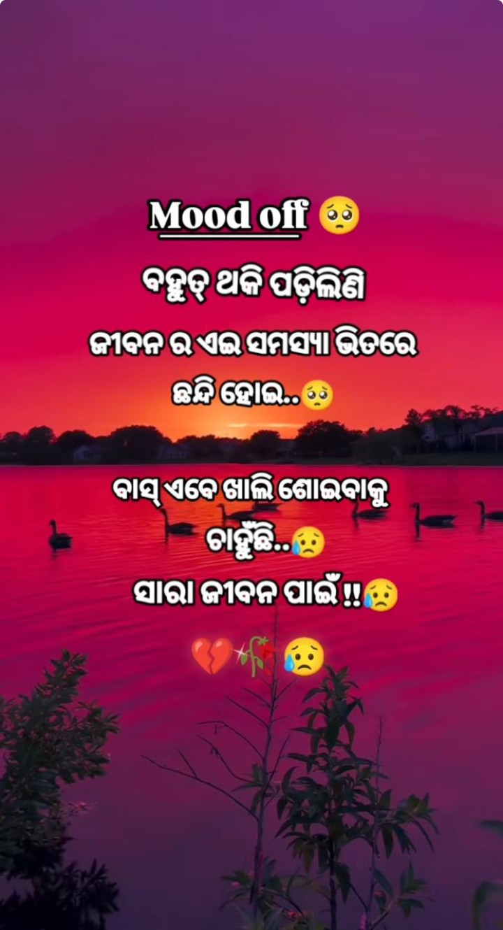 ବହୁତ ଥକି ପଡ଼ିଲିଣି