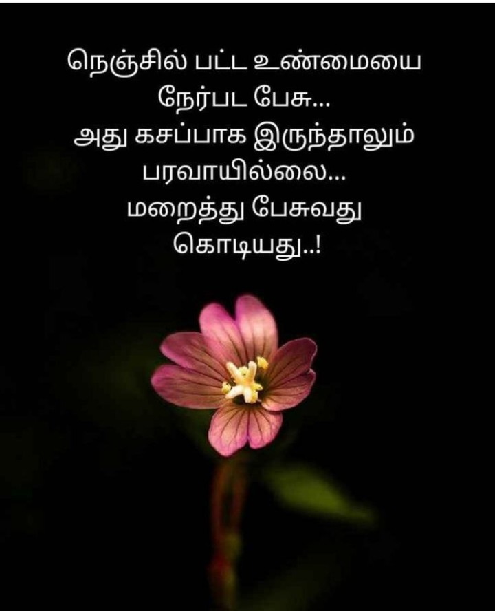 நெஞ்சில் பட்ட உண்மையை பேசு