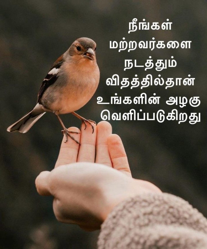 மனதின் அழகு தெரியும்