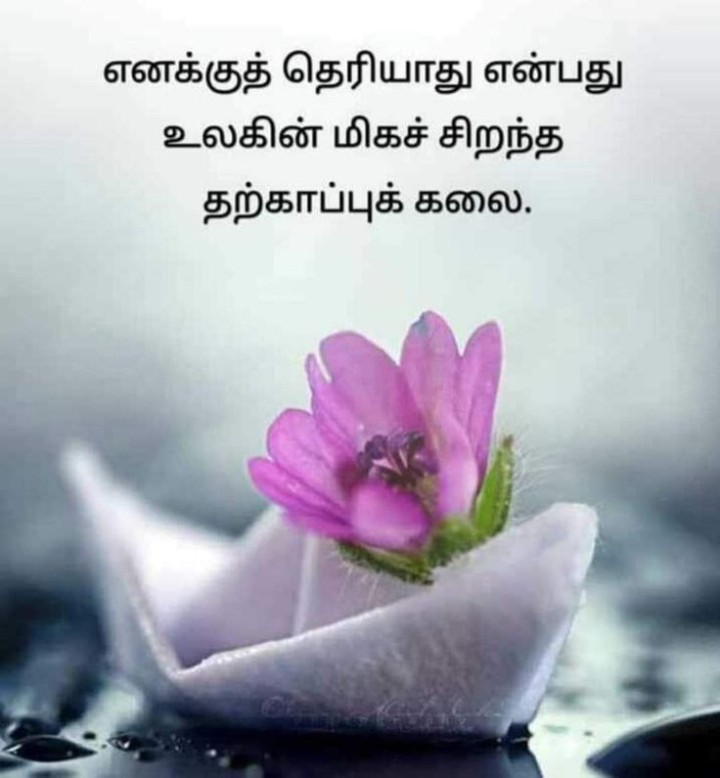 தற்காப்பு