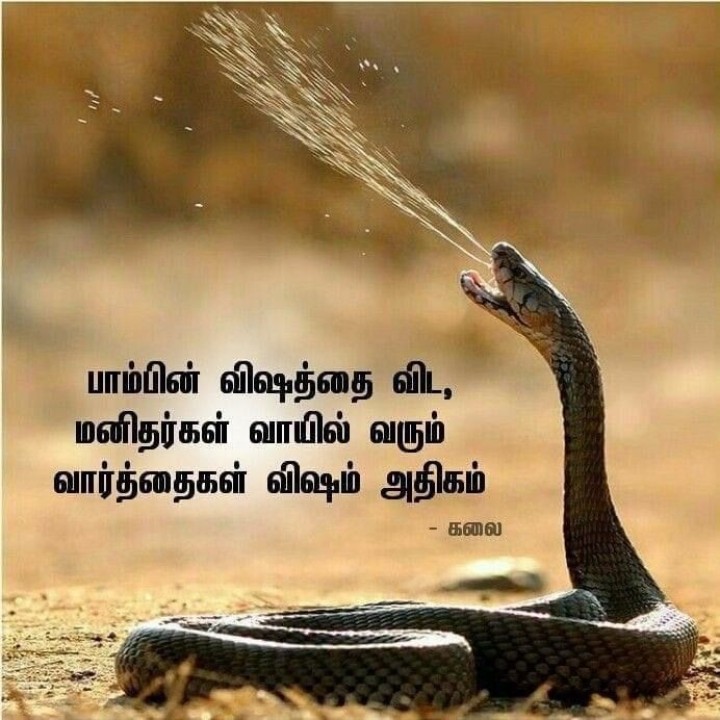ரொம்பவும் கொடூரமான விஷம்