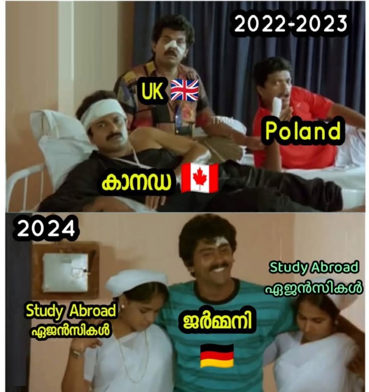 കാനഡ uk വന്മരം വീണു