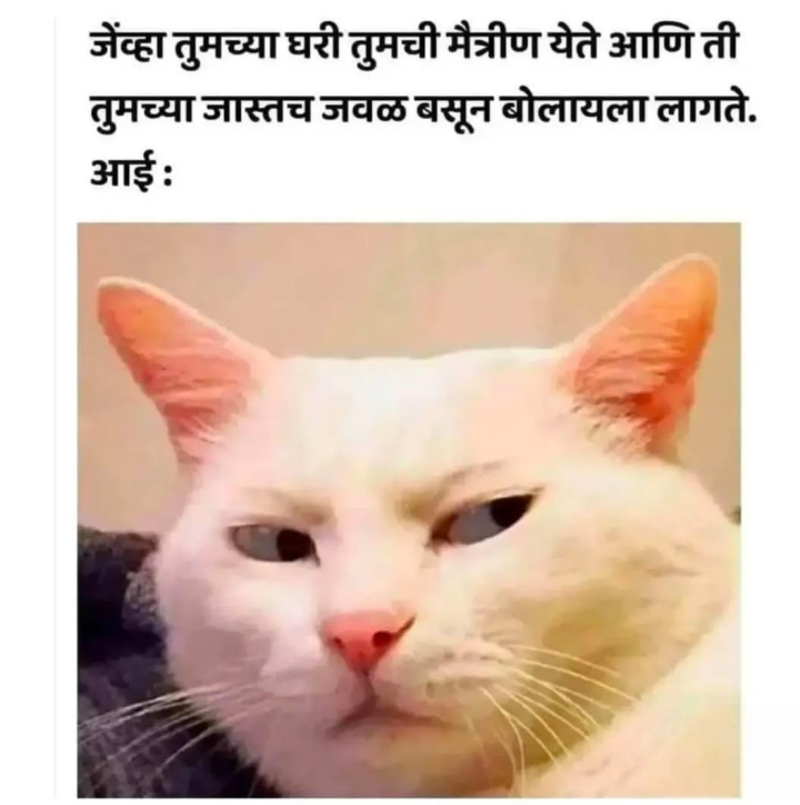 माझी मैत्रीण आणि आई