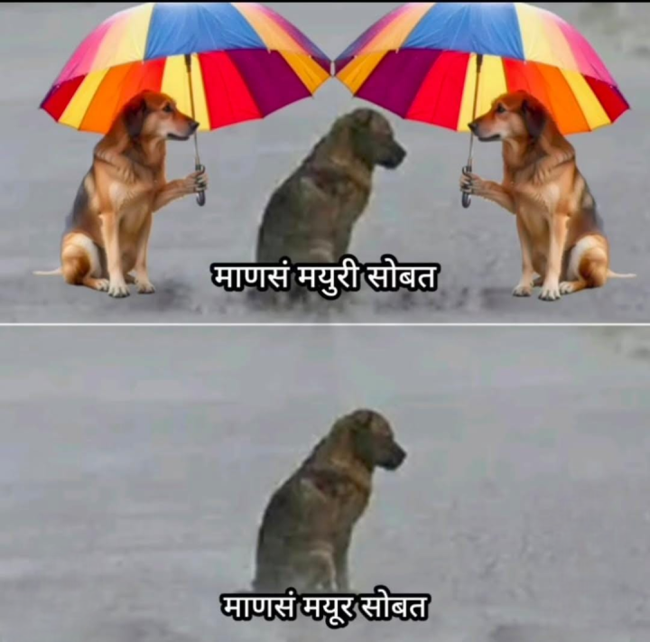 लोकांचा व्यवहार