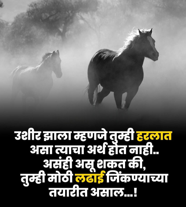 कदाचित असंही असू शकतं
