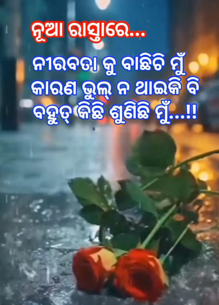 ନୀରବତା କୁ ବାଛିଚି ମୁଁ