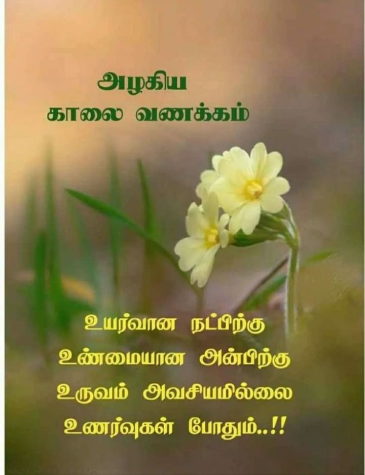 இனிய காலை வணக்கம்