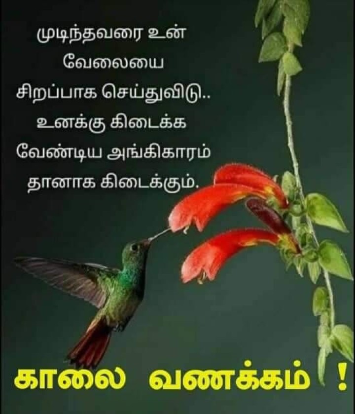 புத்துணர்ச்சியுடன் இனிய காலை!
