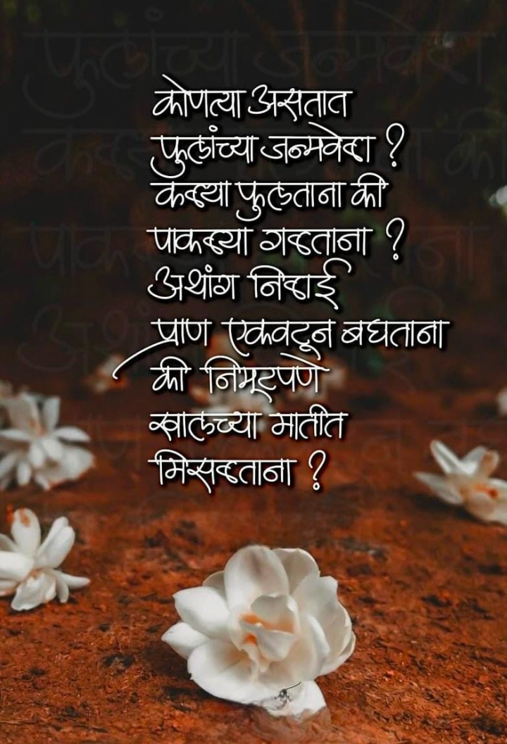 फुलांच्या जन्मवेळा