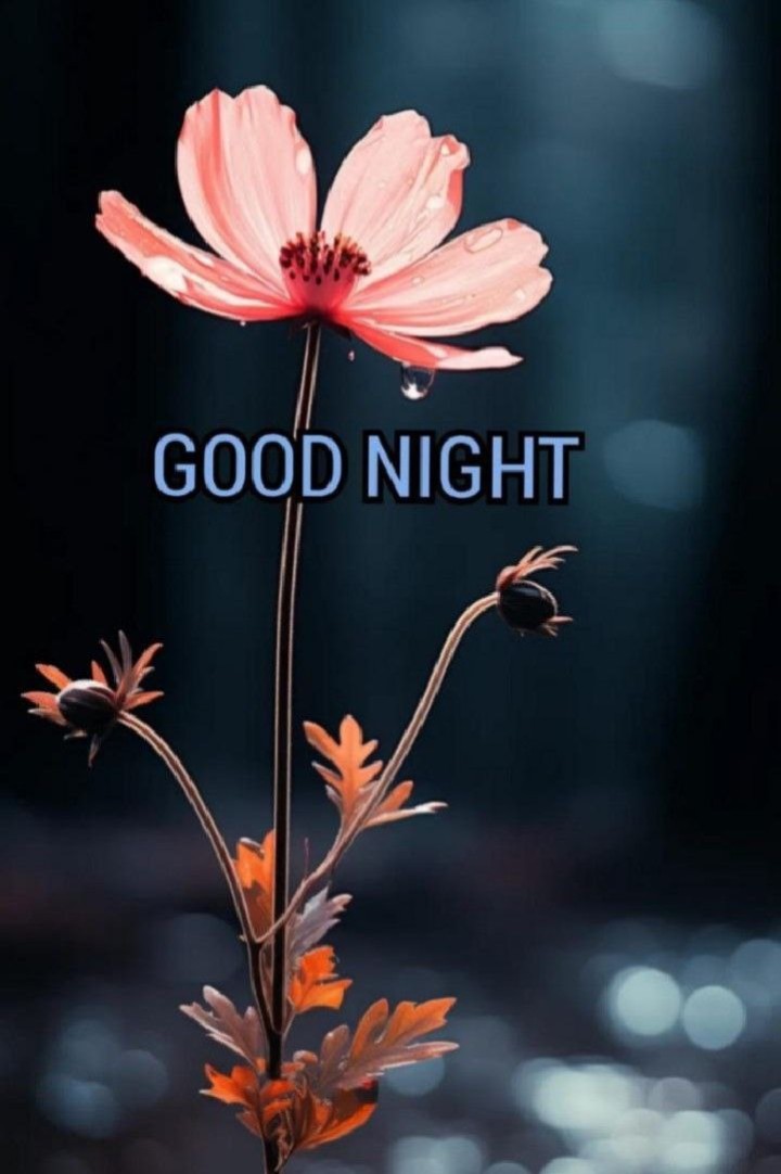 Good night chepte anandam