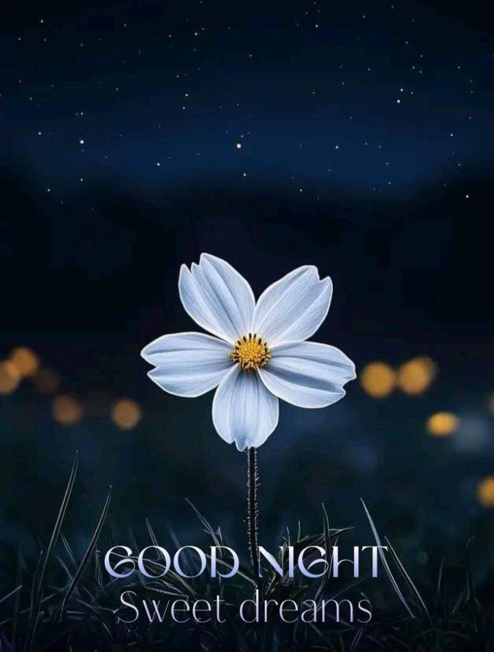Shubha ratri