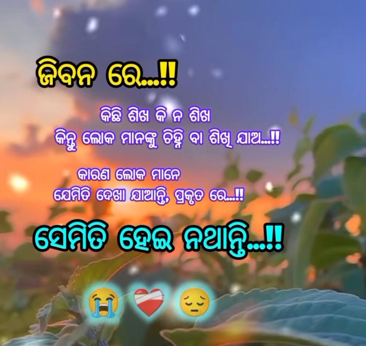 ଜୀବନରେ କିଛି ଶିଖ କି ନାହିଁ