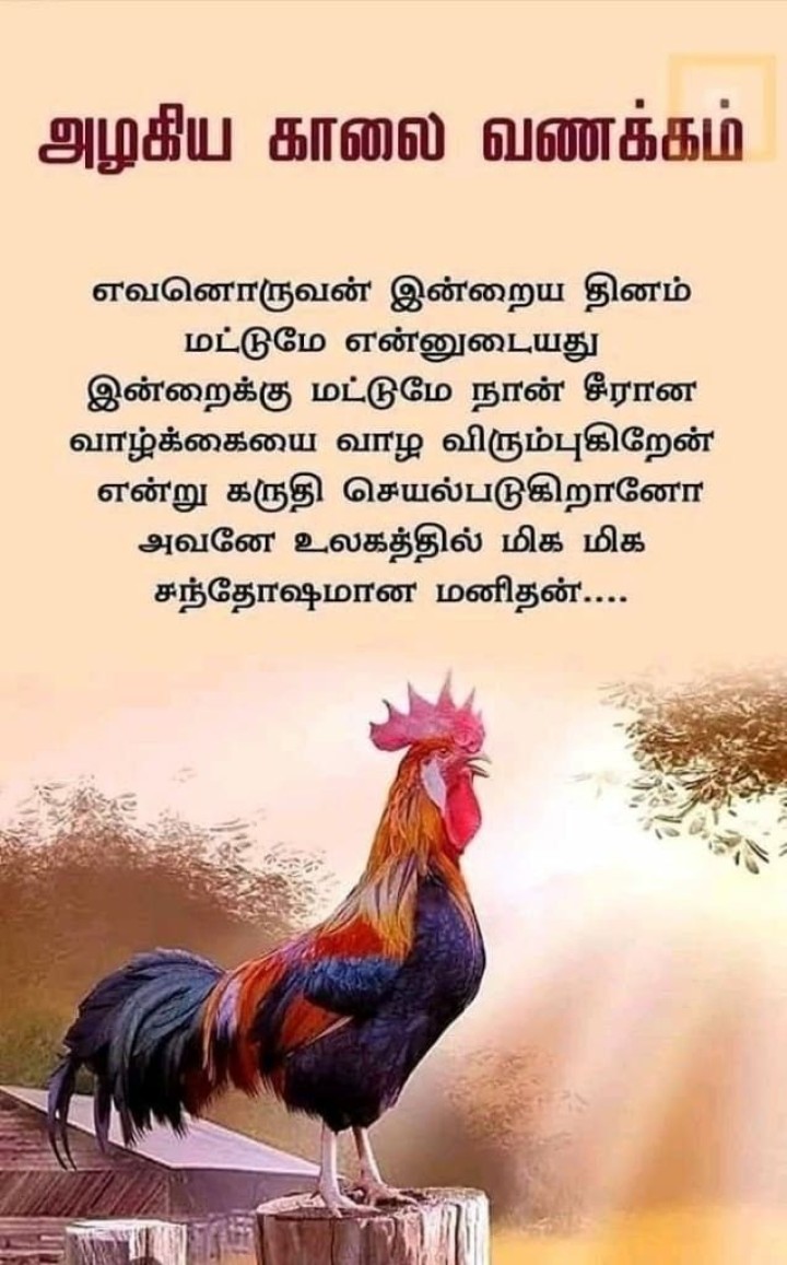 இனிய காலை வணக்கம்