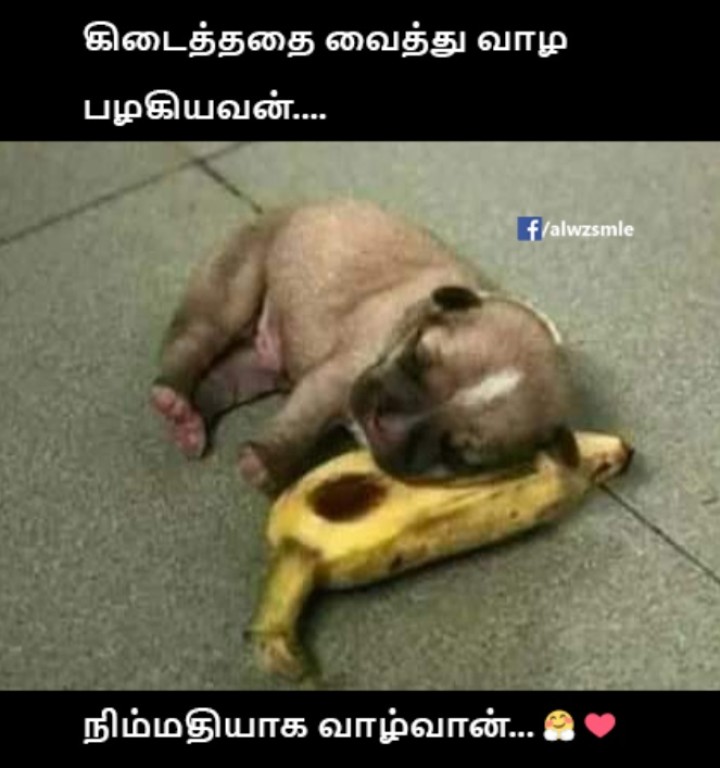 ஆம்