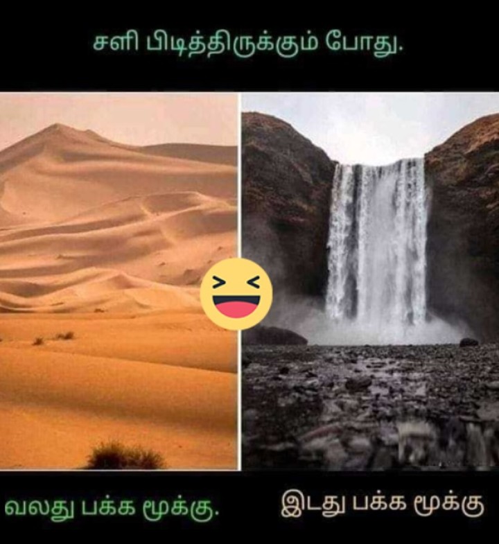 அட ஆமாய்யா..