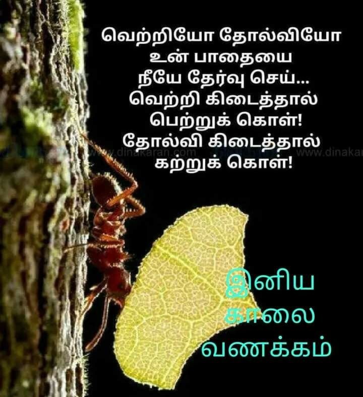 புத்துணர்ச்சி நிறைந்த காலை வாழ்த்துகள்!