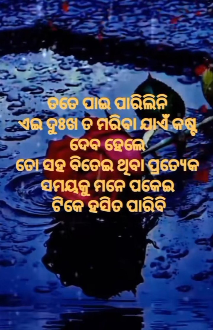 ତତେ ପାଇ ପାରିଲିନି