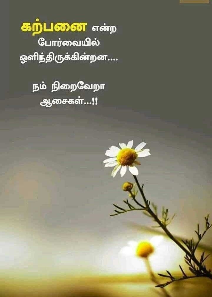 கற்பனை