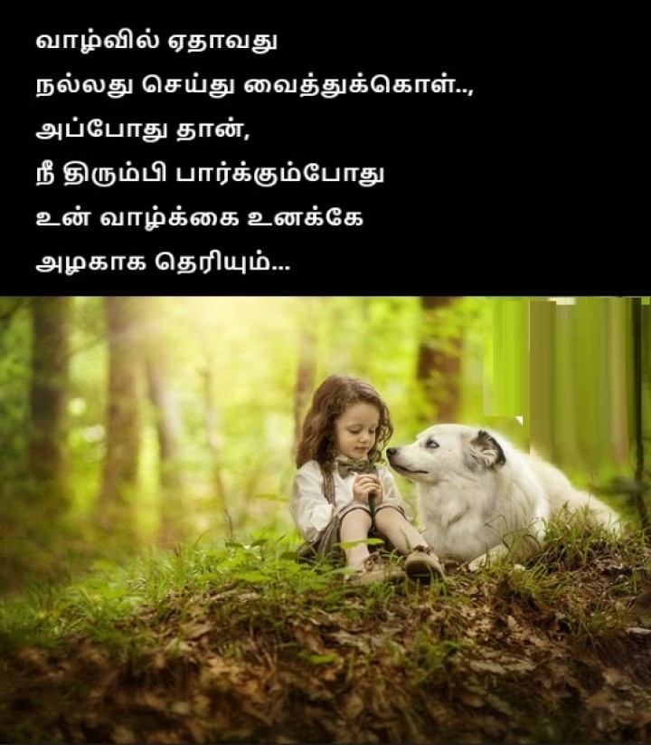 அது என்னமோ உண்மை