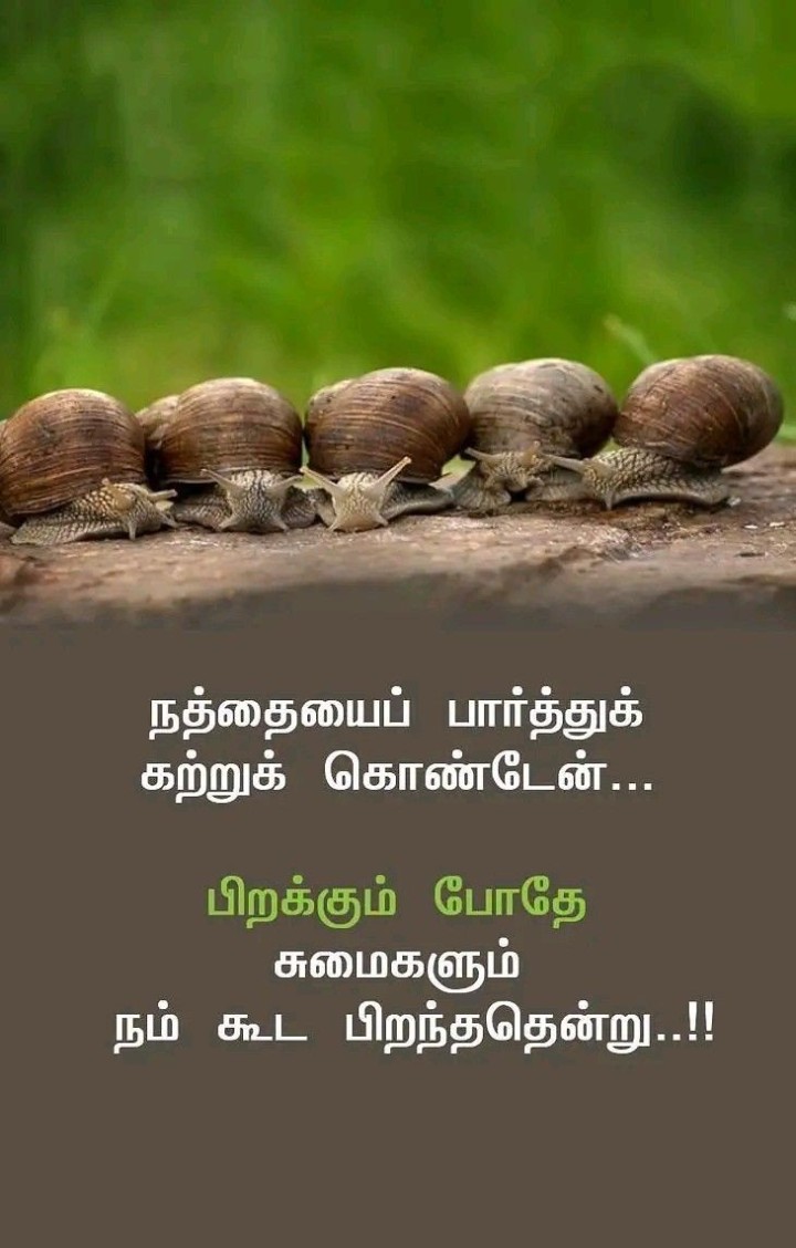 சுமைகள்