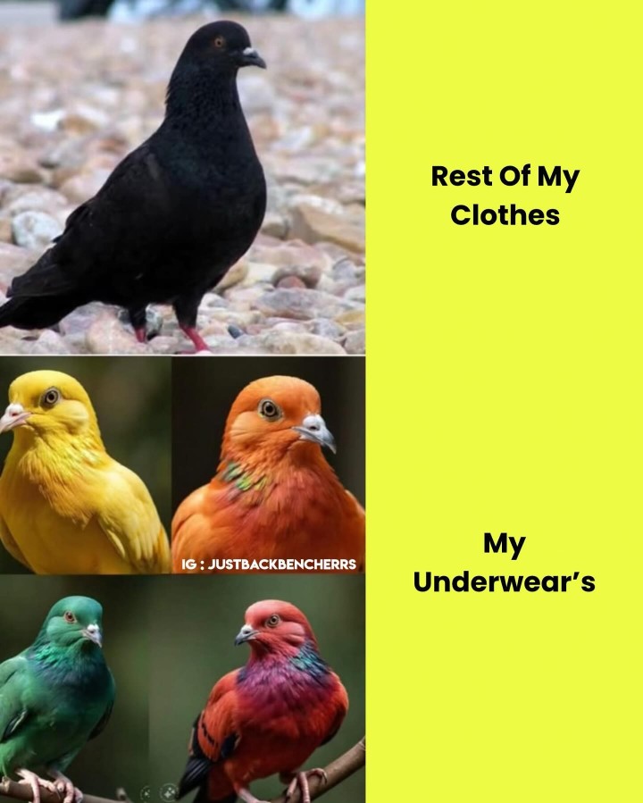 Isn't it??