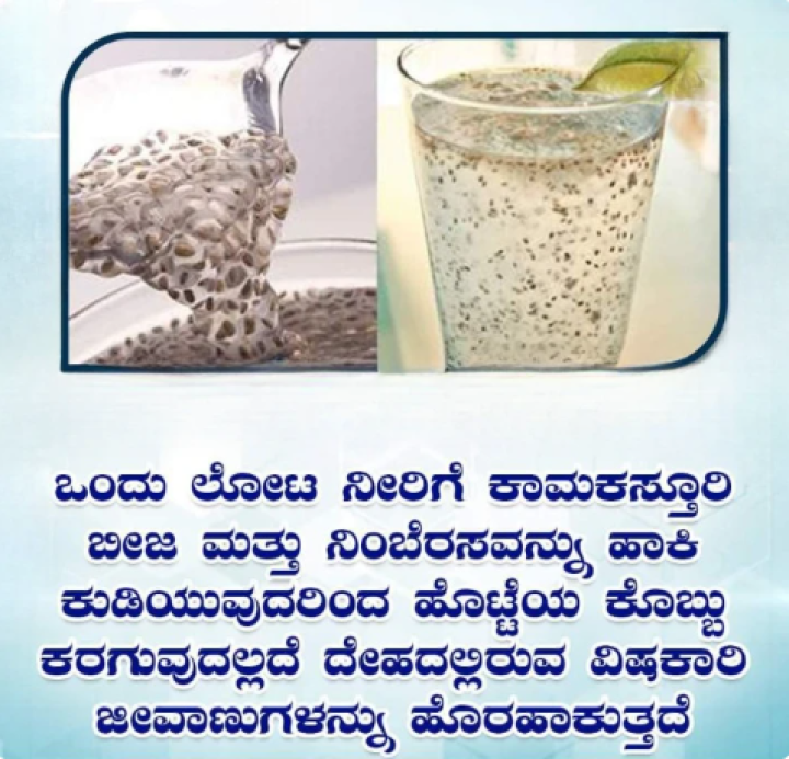 ಕಾಮ ಕಸ್ತೂರಿ ಬೀಜದ ಸೇವನೆಯಿಂದ ಎಷ್ಟೆಲ್ಲಾ ಹೆಲ್ತ್ ಬೆನಿಫಿಟ್ಸ್ ಇದೆ ಗೊತ್ತಾ!?