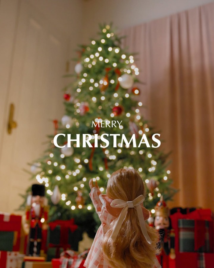 मेरी Christmas