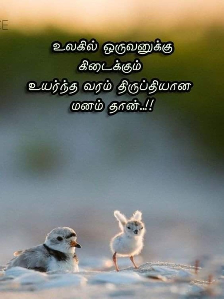 திருப்தியான மனசு