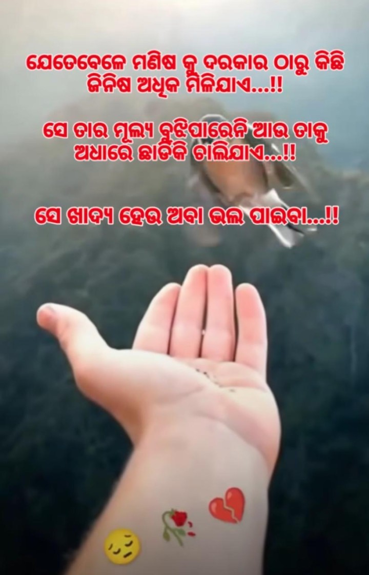ସେ ତାର ମୂଲ୍ୟ ବୁଝି ପାରେନି