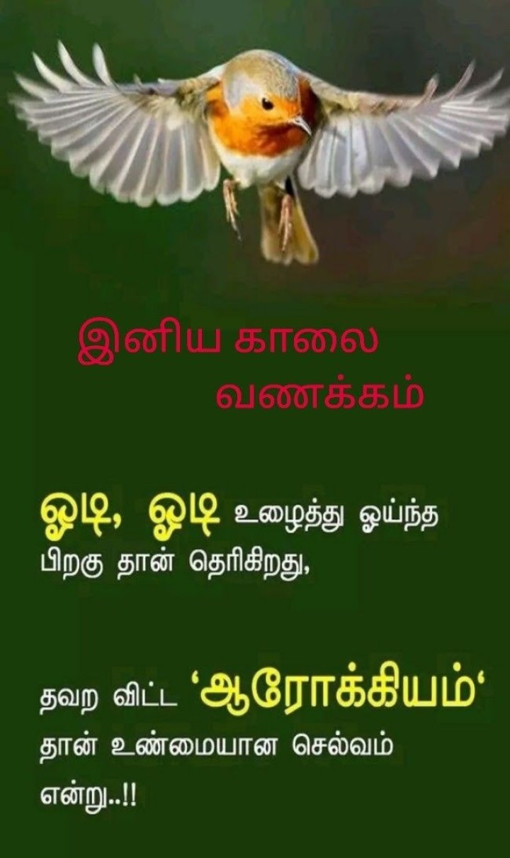 எப்போதும் மகிழ்ச்சியாக இருங்கள்! இனிய காலை!