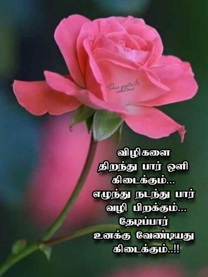 உனக்கு வேண்டியது கிடைக்கும்