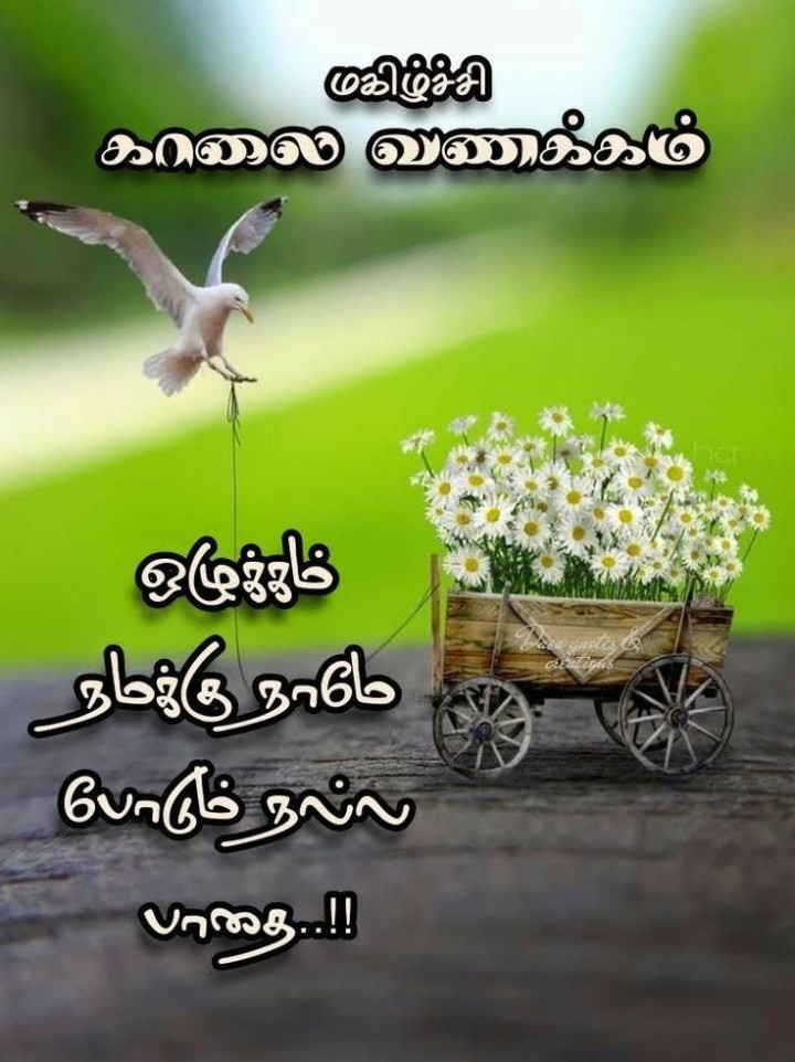 இன்றைய நாள் அழகாக இருக்கும் இனிய காலை வணக்கம்