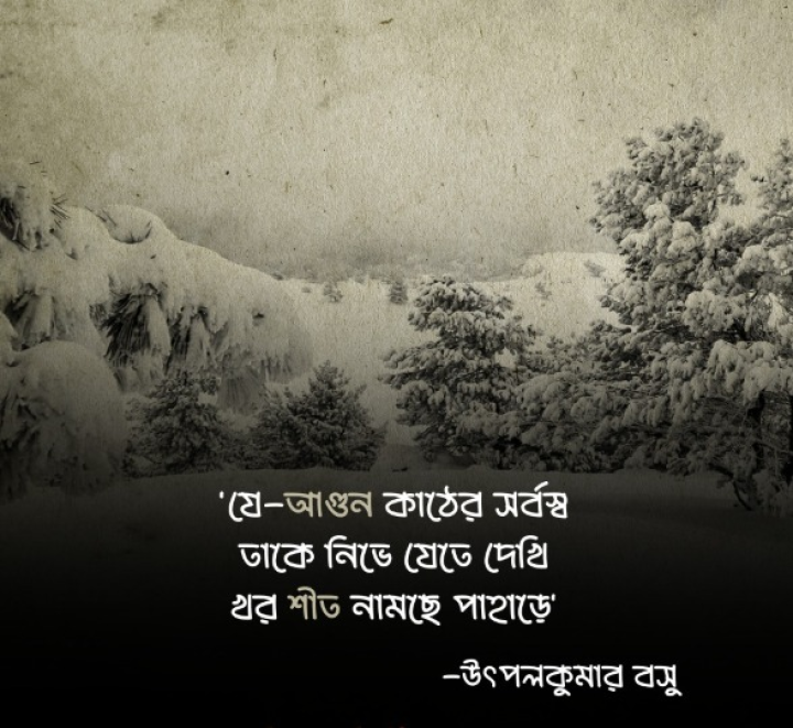 যে আগুন কাঠের সর্বস্ব।