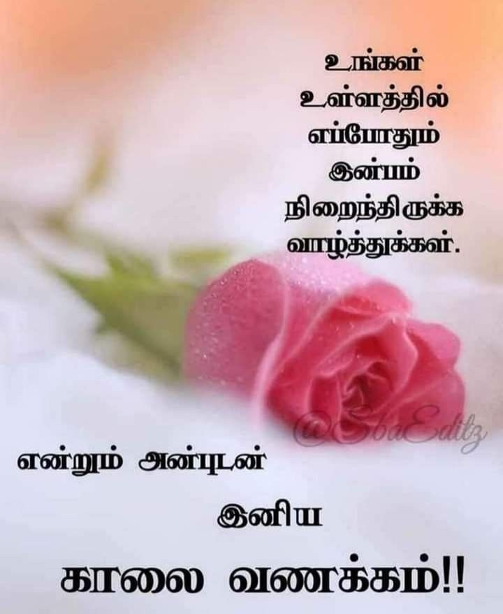 நல்ல காலை!
